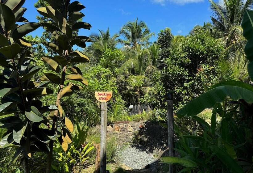 פנסיון Jungle Kingdomes Guest House