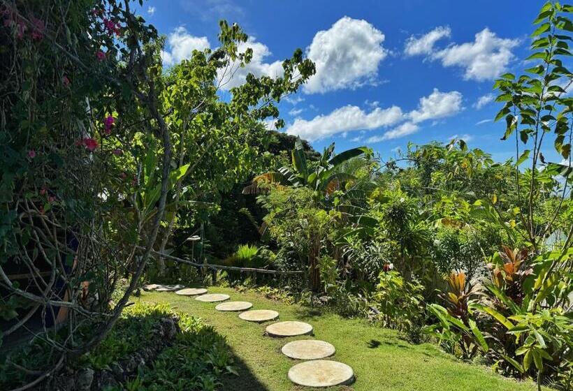 פנסיון Jungle Kingdomes Guest House