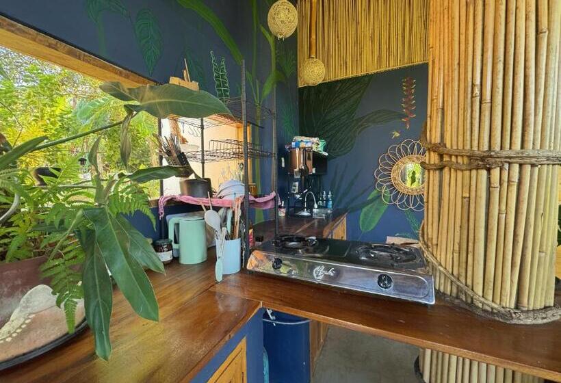 פנסיון Jungle Kingdomes Guest House