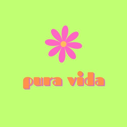 Pension Piyo Vida Guesthouse