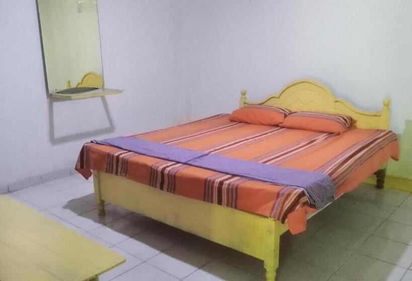 Pension Piyo Vida Guesthouse