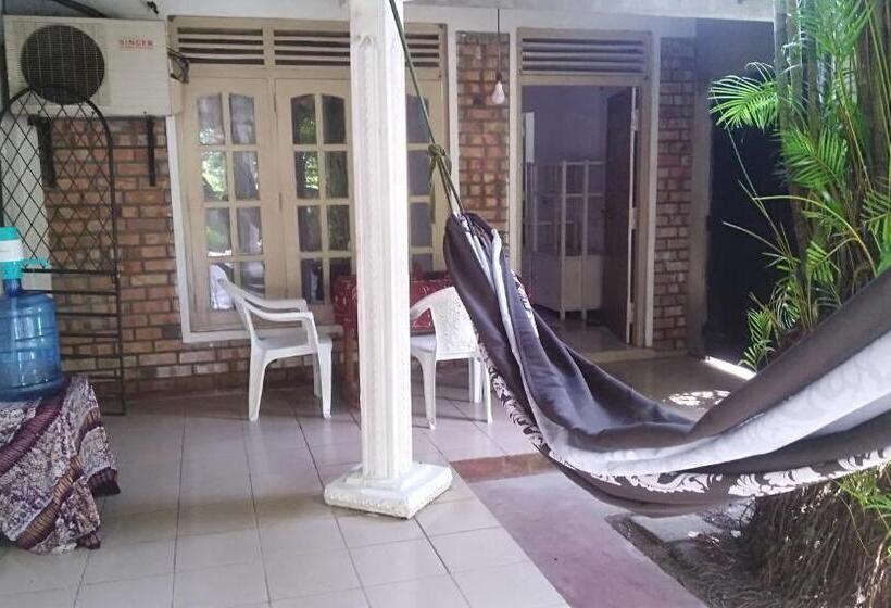 Pension Piyo Vida Guesthouse