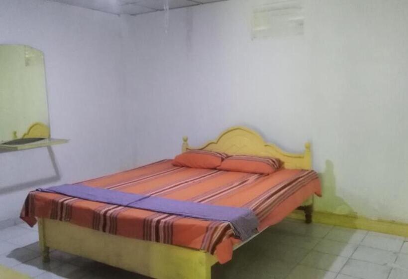 Pension Piyo Vida Guesthouse