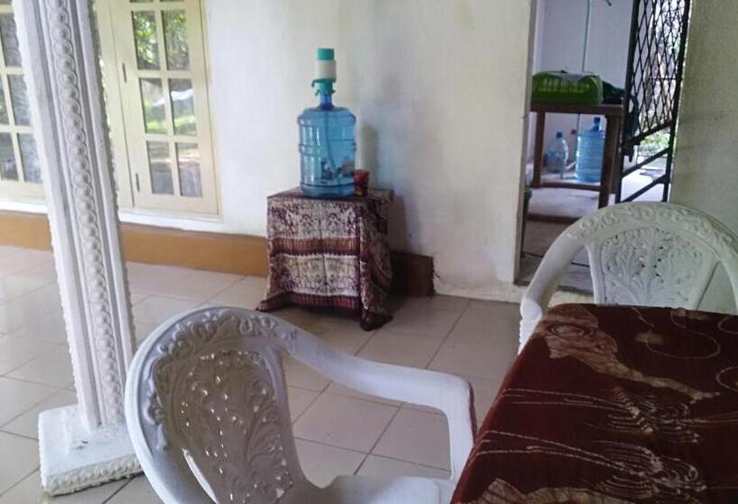 Pension Piyo Vida Guesthouse