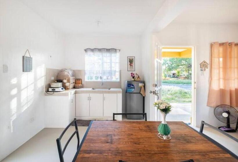 פנסיון Smyleinn Camella Jade