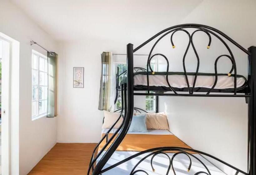 פנסיון Smyleinn Camella Jade