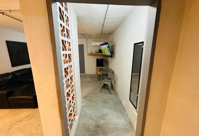 بنسيون The Stay Doña White