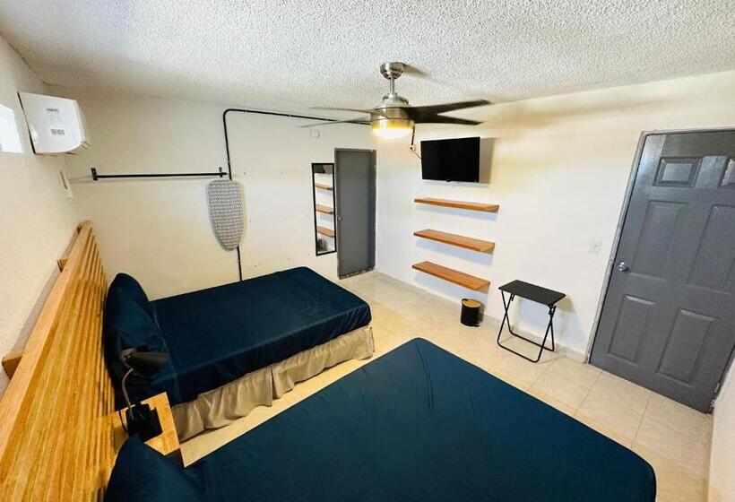 بنسيون The Stay Doña White