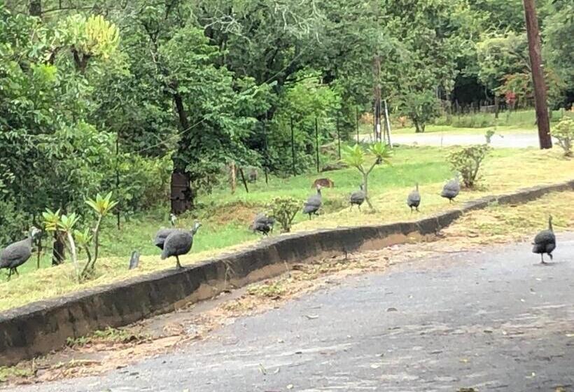 פנסיון Villa Jullienne   A Home Away From Home   Unit 4