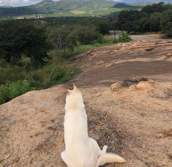 פנסיון Villa Jullienne   A Home Away From Home   Unit 4