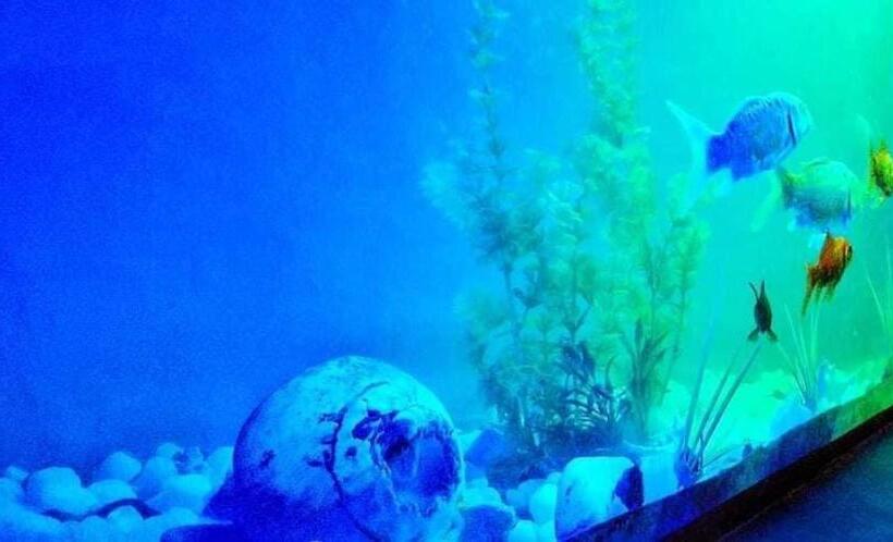 ペンション Vj Villa