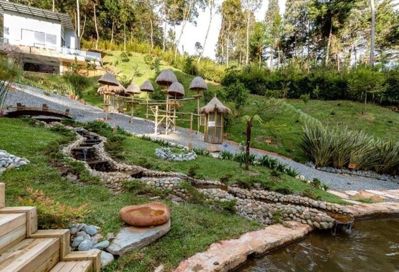 پانسیون Zen Medellin Maya