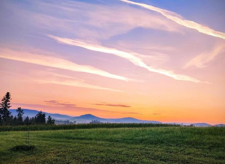 Frühstücks Pension Lichtenauer Hof
