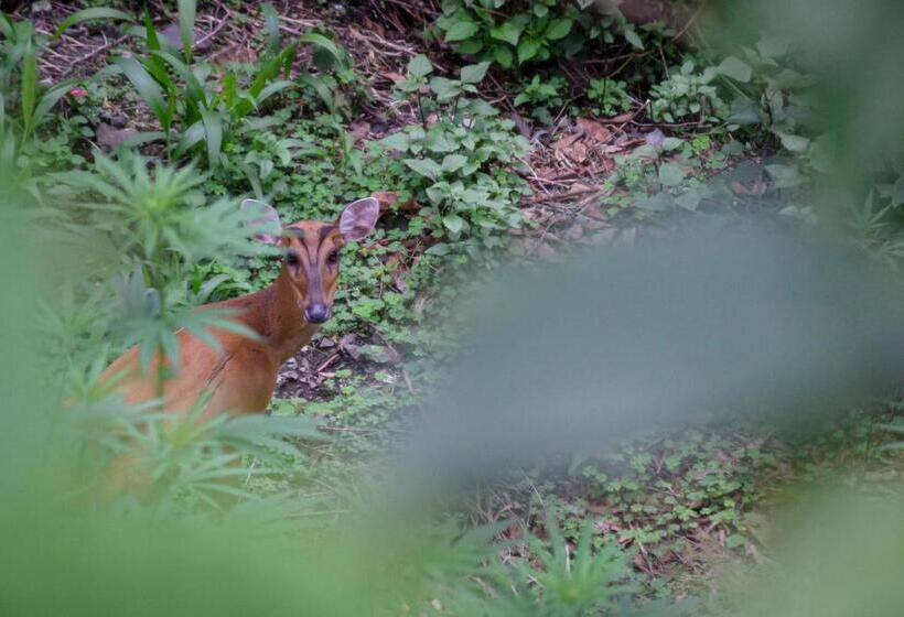 אתר נופש House Of Hive, Gethiya