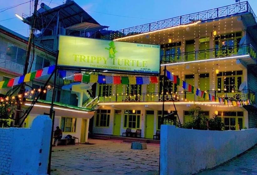 Trippy Turtle Hostel