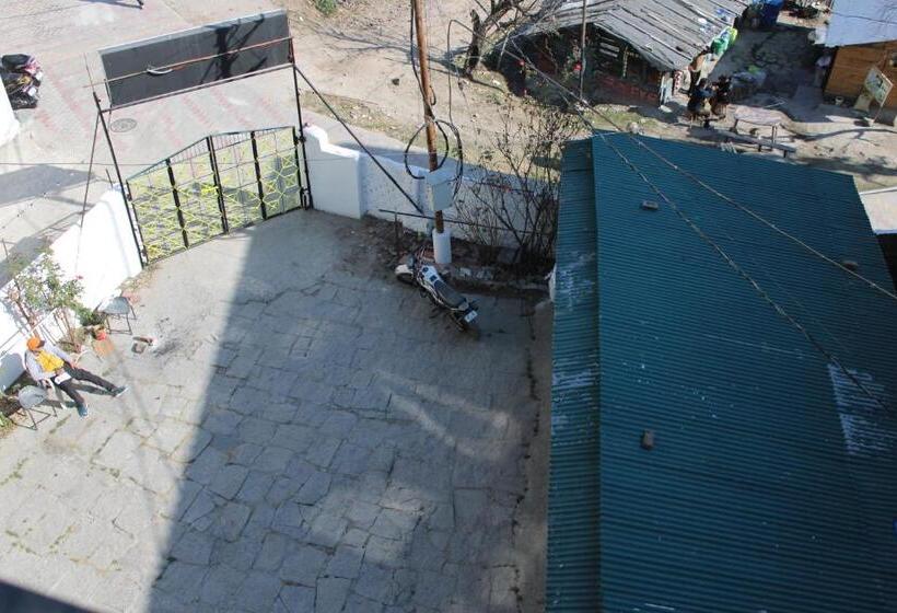 Trippy Turtle Hostel