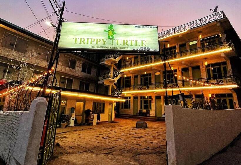 Trippy Turtle Hostel