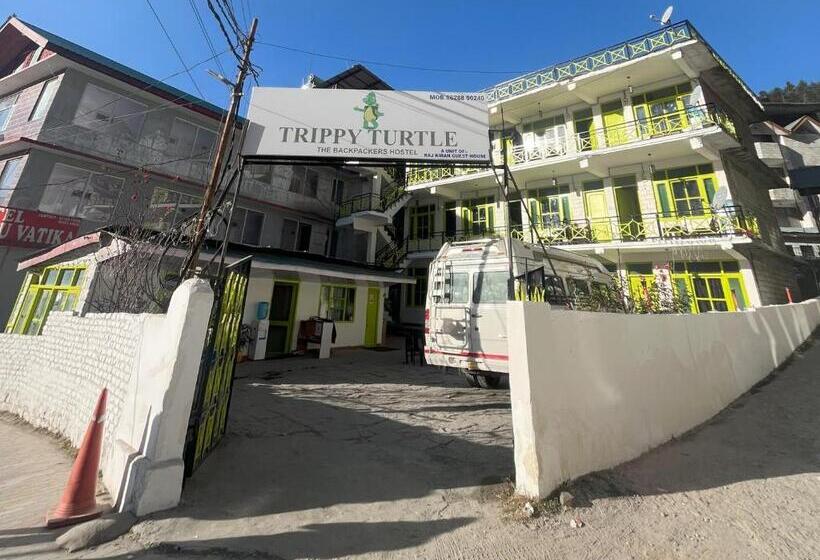 Trippy Turtle Hostel