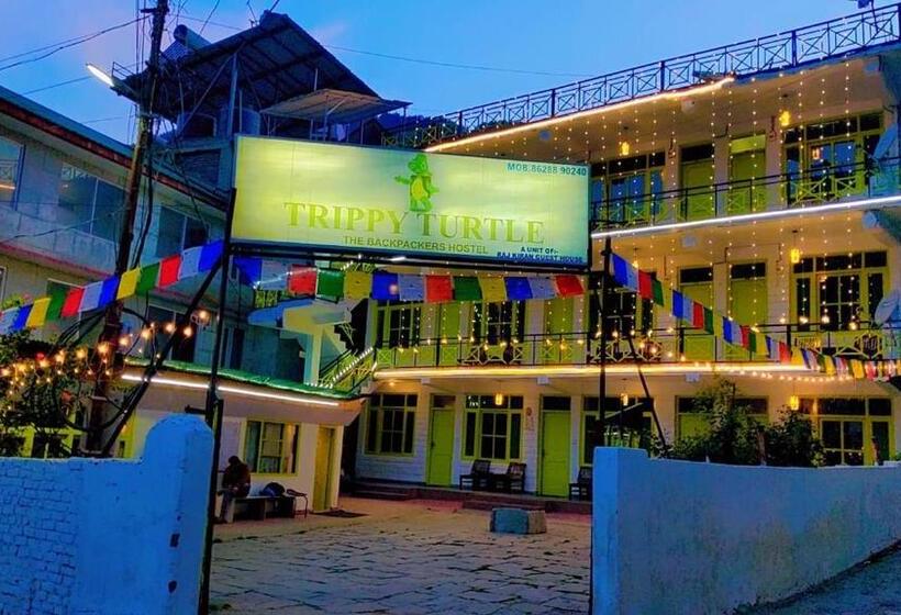 Trippy Turtle Hostel