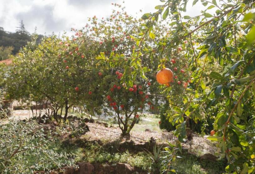 Общежитие Alojamiento El Monasterio