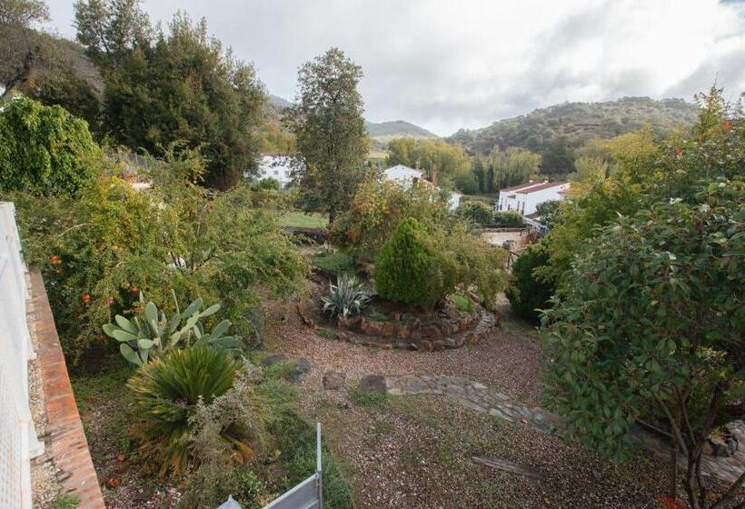 Общежитие Alojamiento El Monasterio