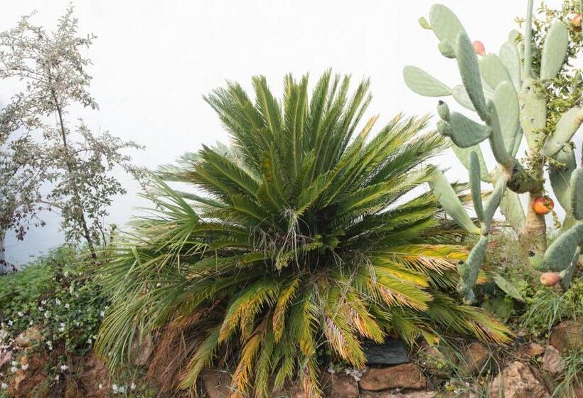 Общежитие Alojamiento El Monasterio