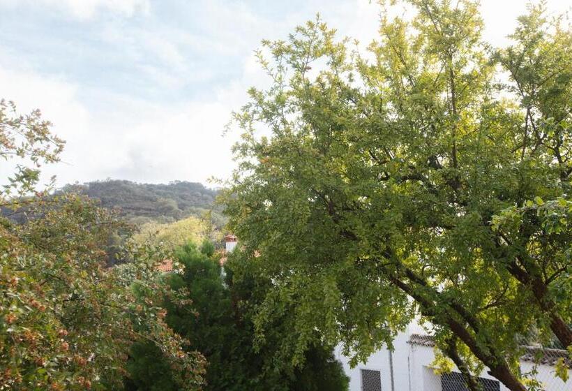 Общежитие Alojamiento El Monasterio