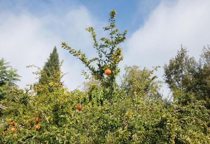 Общежитие Alojamiento El Monasterio