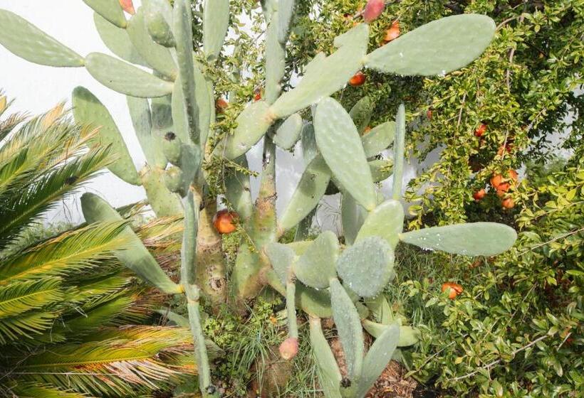 Общежитие Alojamiento El Monasterio