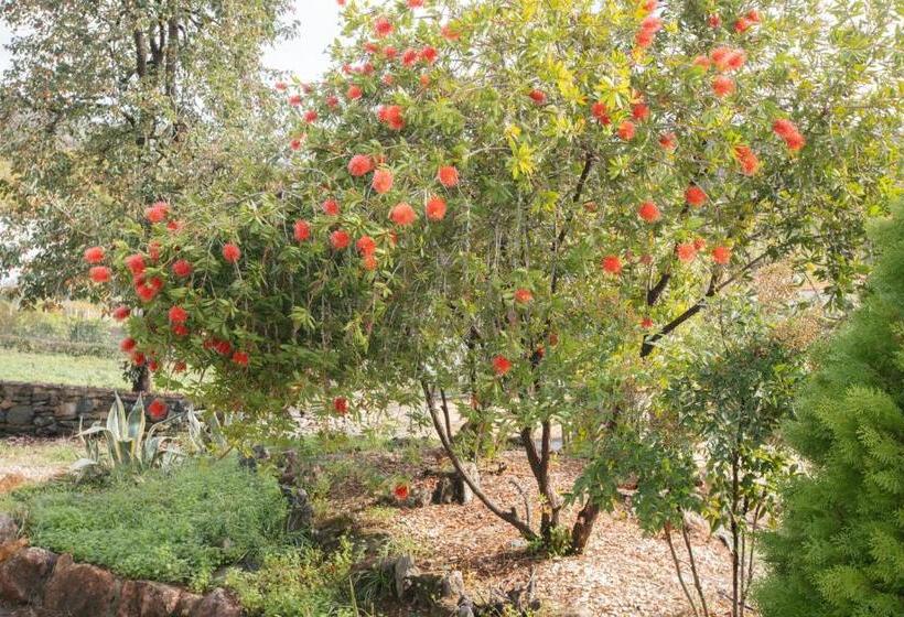 Общежитие Alojamiento El Monasterio