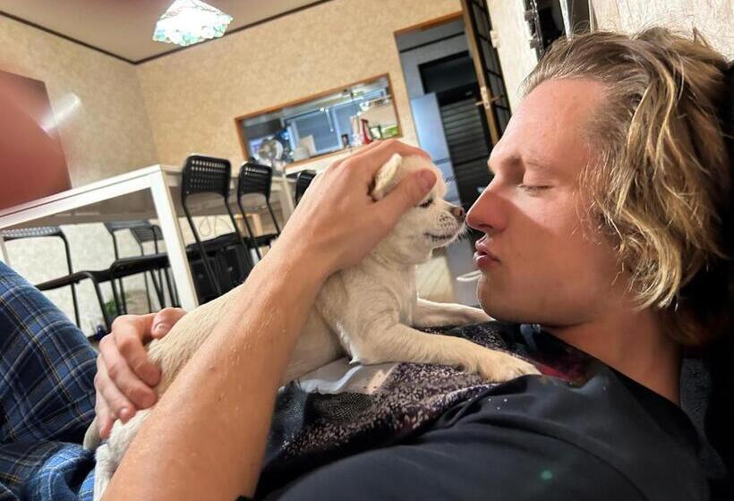 Общежитие Idea House 京都と大阪にアクセス良し 男女共用シェアルーム6人部屋個人ロッカーあり駐車場なし