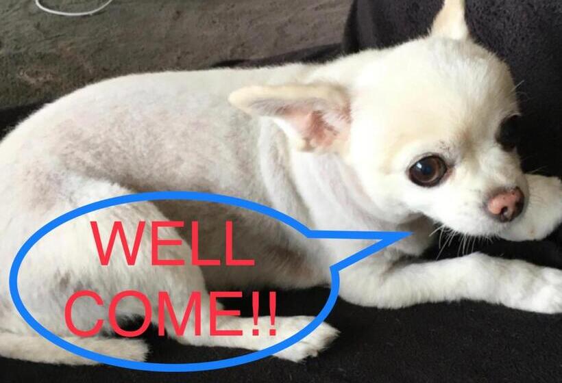 Общежитие Idea House 京都と大阪にアクセス良し 男女共用シェアルーム6人部屋個人ロッカーあり駐車場なし