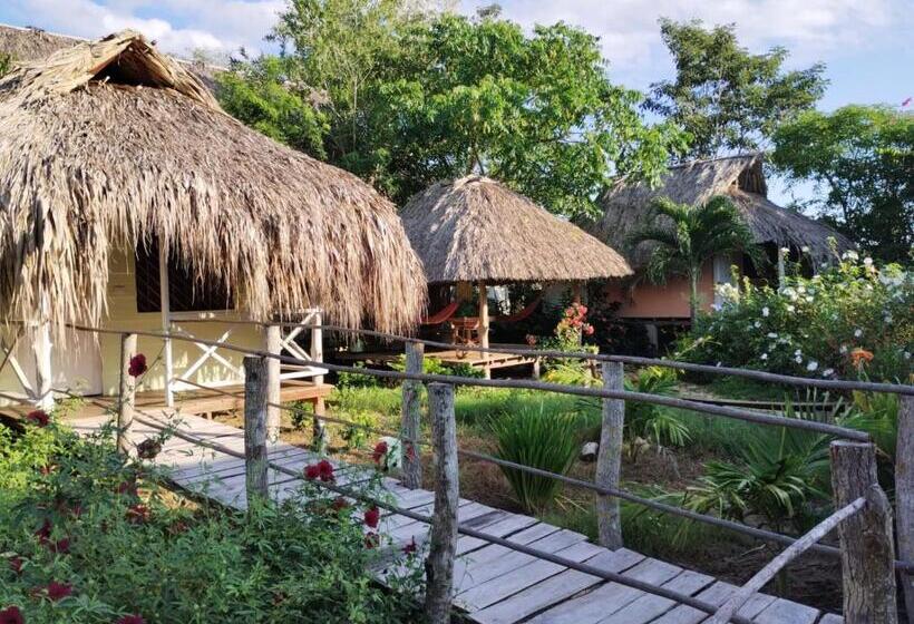 مبيت وإفطار Cabañas La Múcura