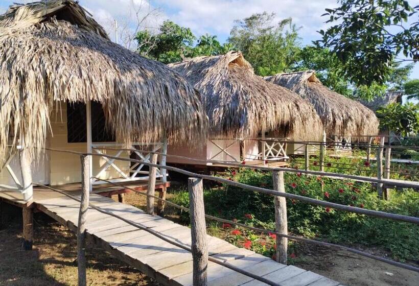 تختخواب و صبحانه Cabañas La Múcura