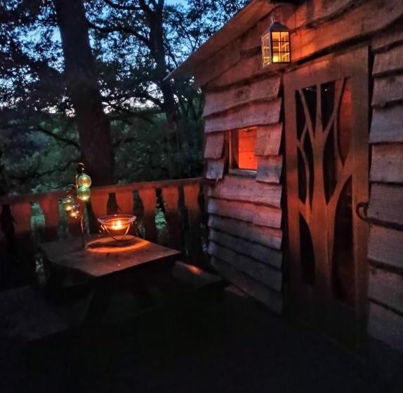 ベッドアンドブレックファースト Cabane Perchée Chez Yahmz