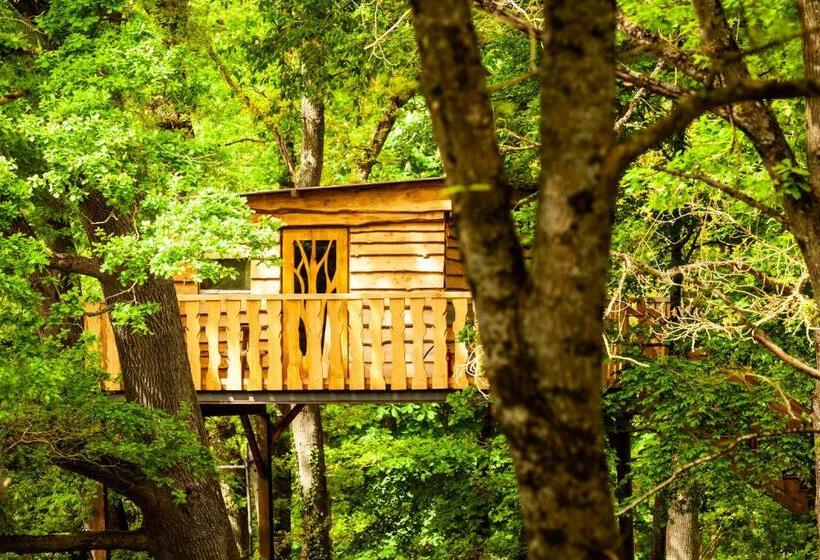 ベッドアンドブレックファースト Cabane Perchée Chez Yahmz