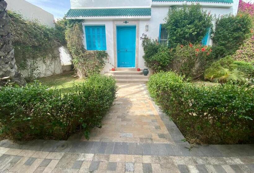 住宿加早餐  Dar Fatma Mahdia, Bungalow Petit Déjeuner Piscine