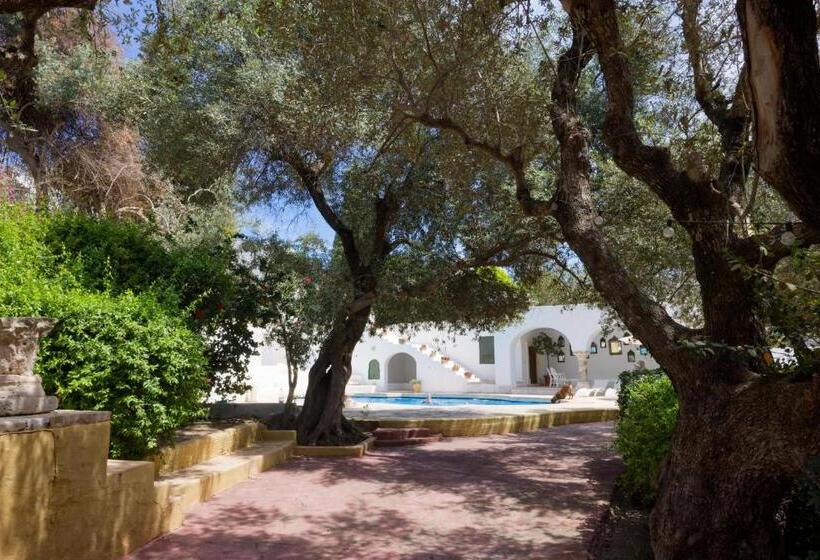 تختخواب و صبحانه Lella Zohra, Studio Avec Piscine à Sidi Bou Said