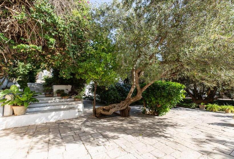 تختخواب و صبحانه Lella Zohra, Studio Avec Piscine à Sidi Bou Said