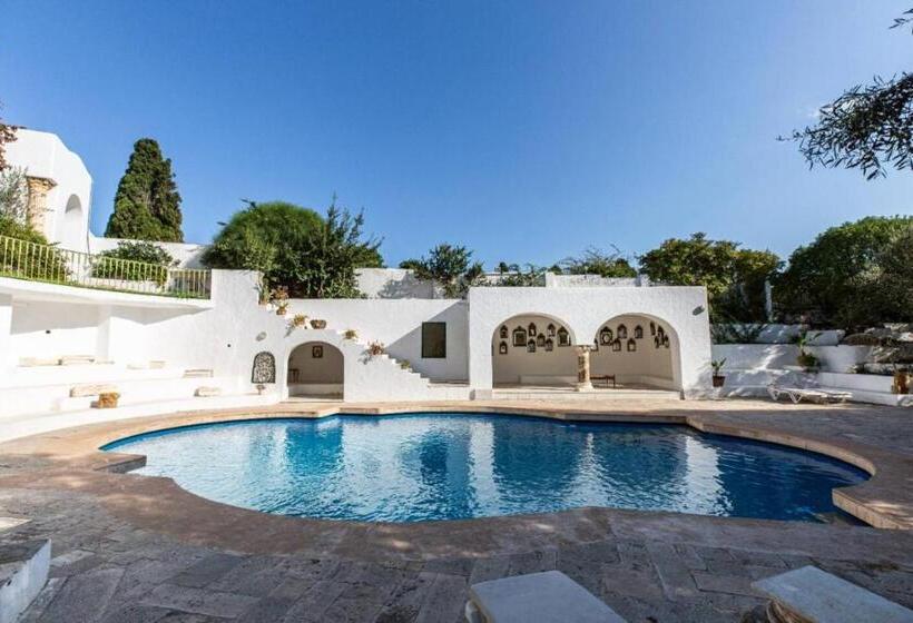 تختخواب و صبحانه Lella Zohra, Studio Avec Piscine à Sidi Bou Said