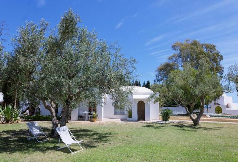 تختخواب و صبحانه Lella Zohra, Studio Avec Piscine à Sidi Bou Said
