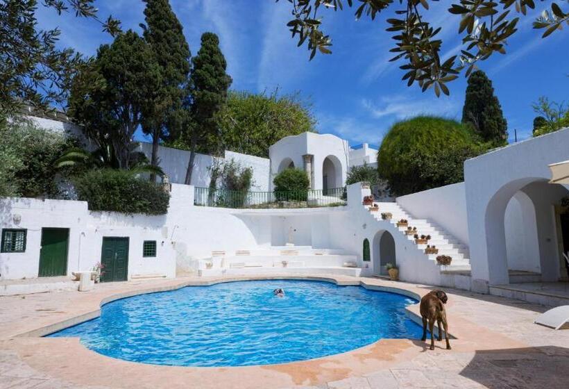 تختخواب و صبحانه Lella Zohra, Studio Avec Piscine à Sidi Bou Said