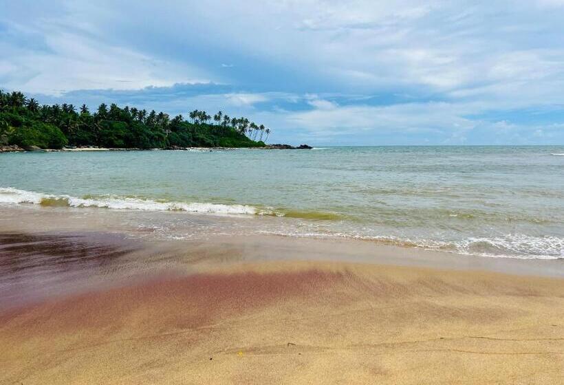 ベッドアンドブレックファースト Sun Beach