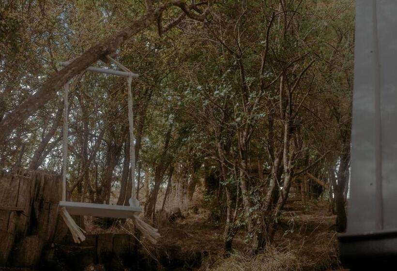 مبيت وإفطار The Eco Cabin Tasmania