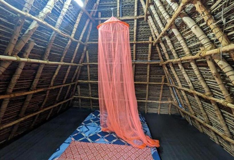 Отель Banana Beach House