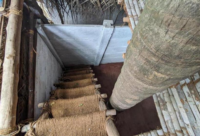 Отель Banana Beach House