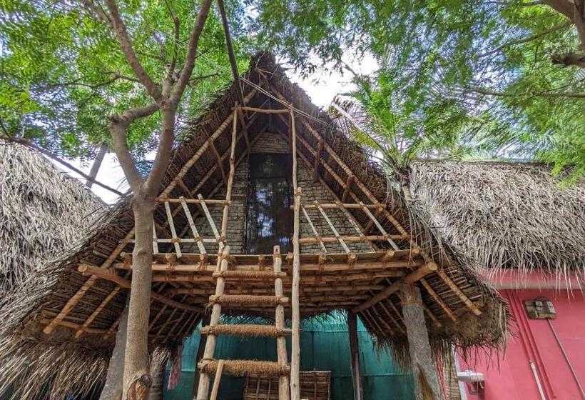 Отель Banana Beach House