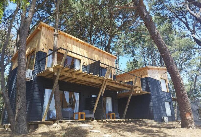 酒店 Bosque Las Delfinas