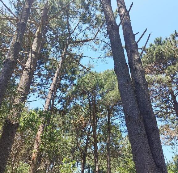 酒店 Bosque Las Delfinas