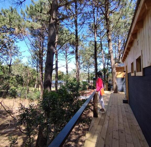 酒店 Bosque Las Delfinas